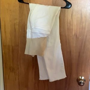 Maternity Capri